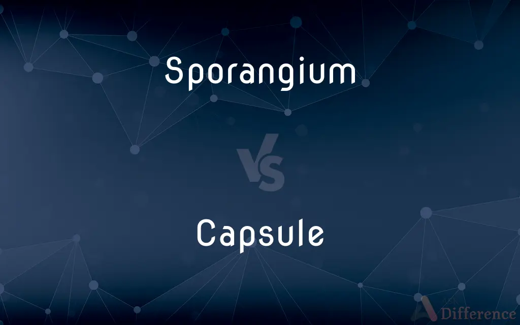 Sporangium vs. Capsule — What's the Difference?