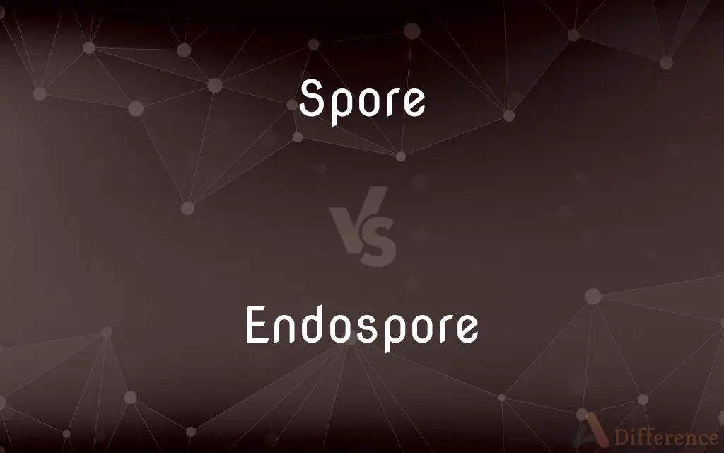 Spore vs. Endospore — What's the Difference?