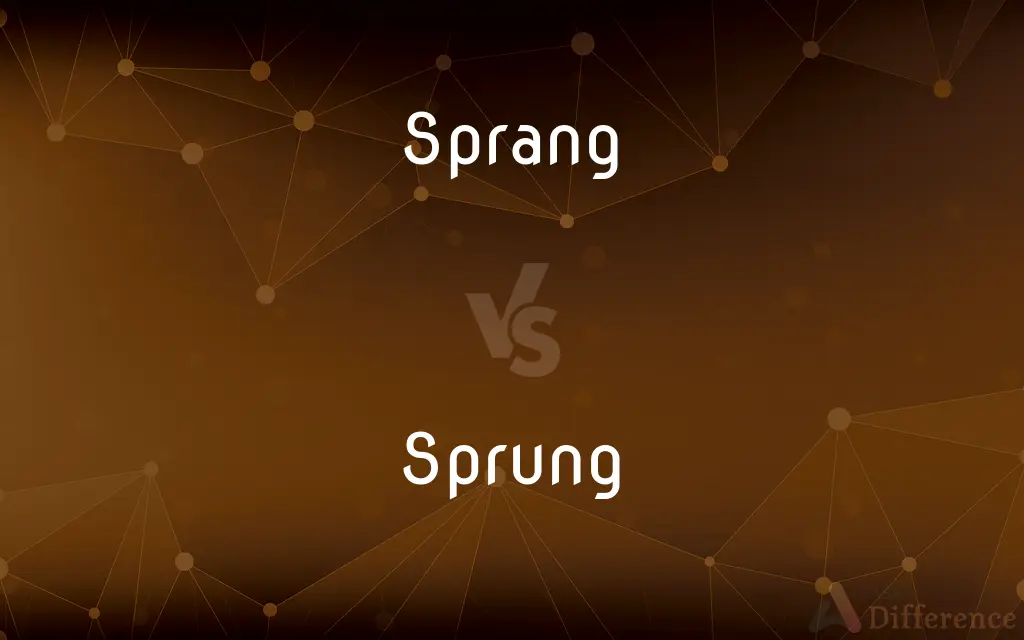 Sprang vs. Sprung — What's the Difference?