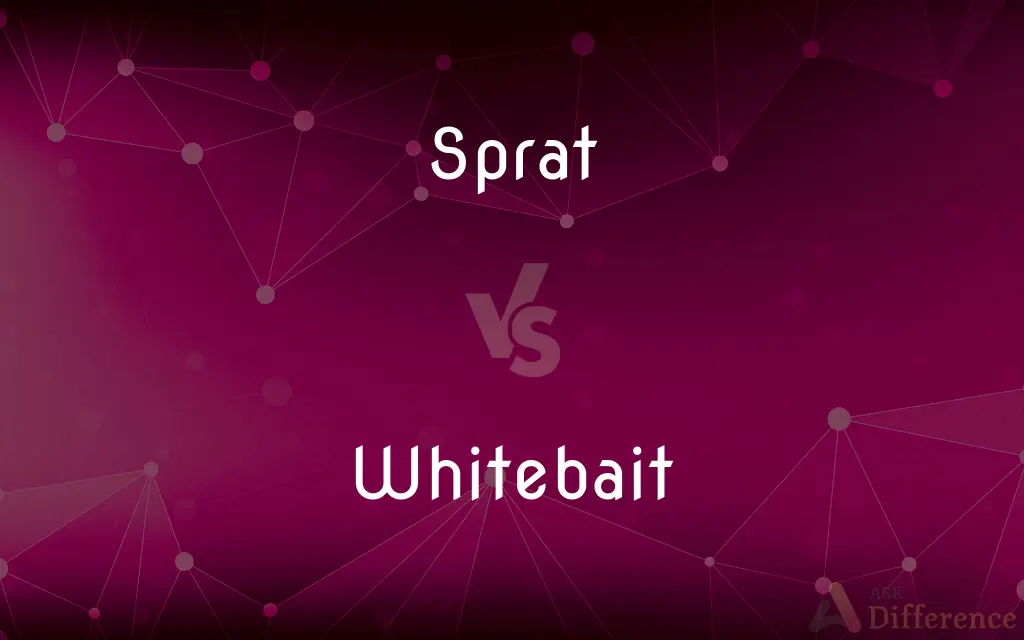 Sprat vs. Whitebait — What's the Difference?