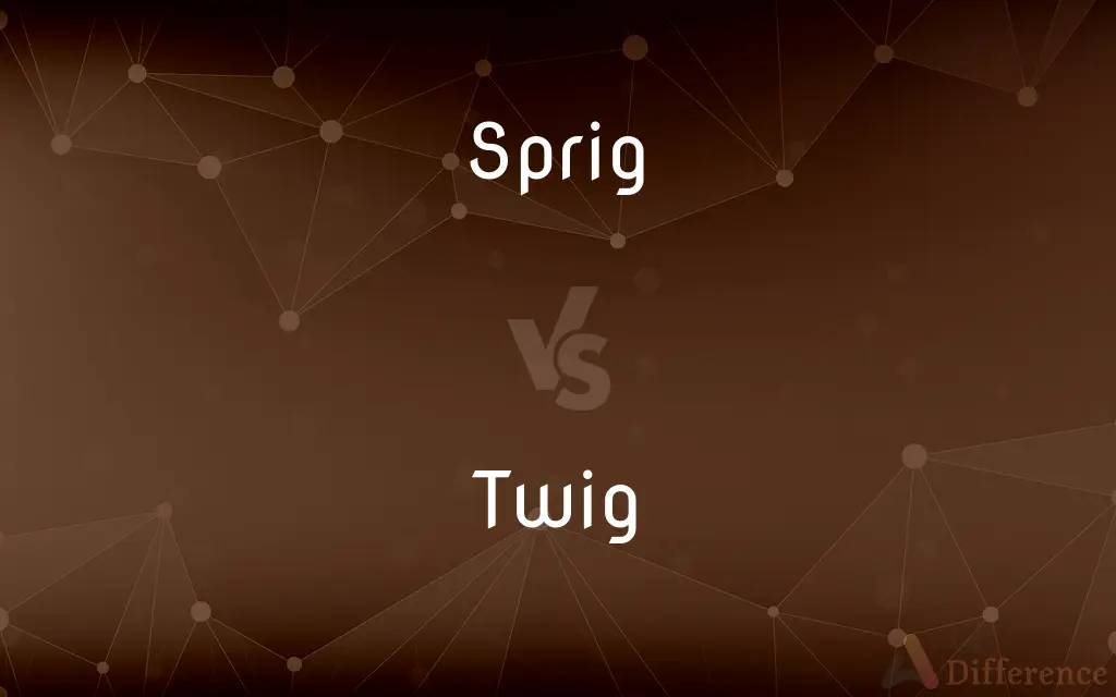 Sprig vs. Twig — What's the Difference?
