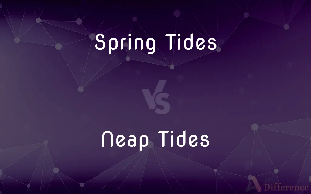 Spring Tides vs. Neap Tides — What's the Difference?