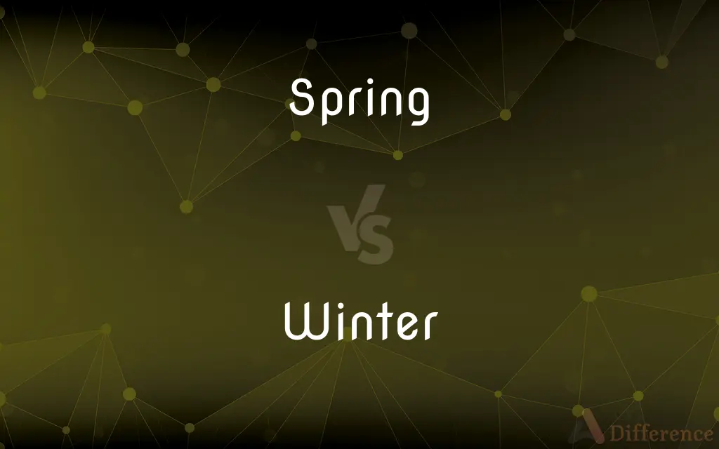 Spring vs. Winter — What's the Difference?