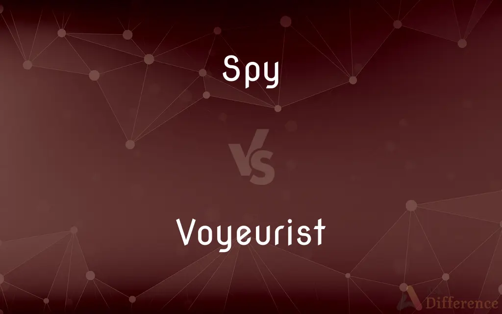 Spy vs. Voyeurist — What's the Difference?