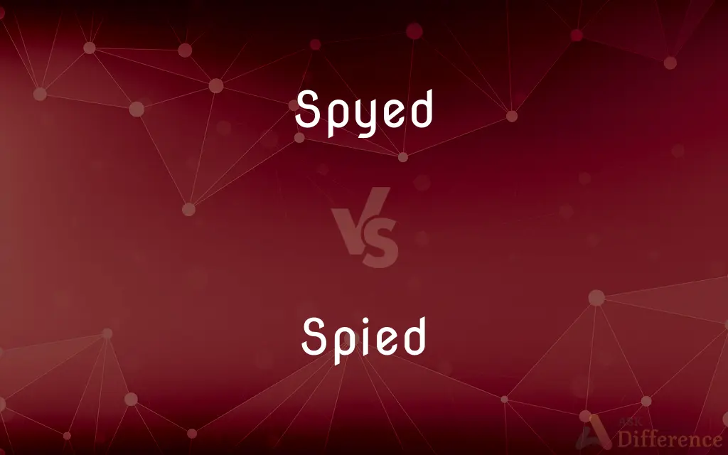 Spyed vs. Spied — What's the Difference?