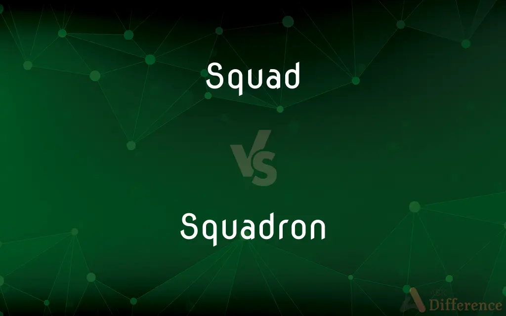 Squad vs. Squadron — What's the Difference?