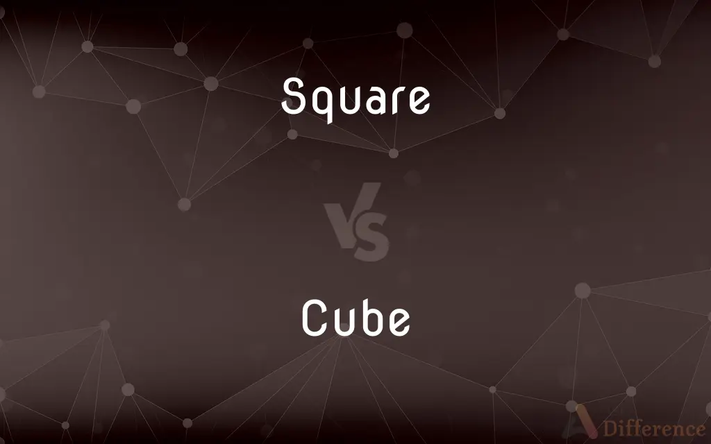 Square vs. Cube — What's the Difference?
