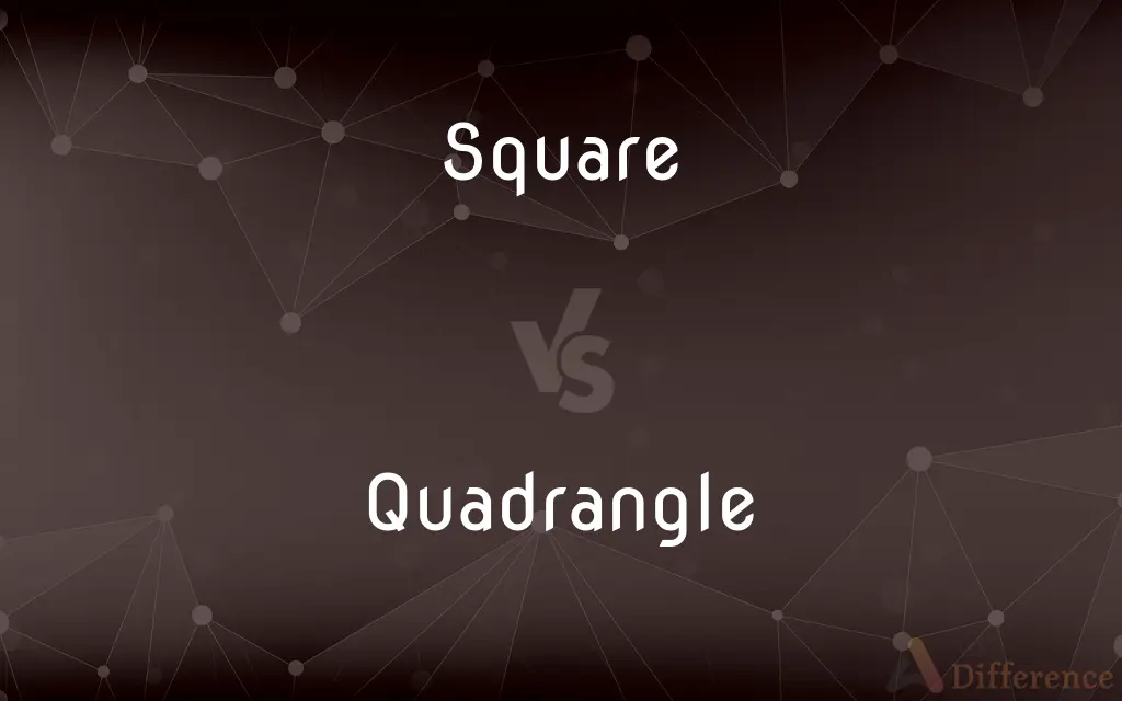 Square vs. Quadrangle — What's the Difference?