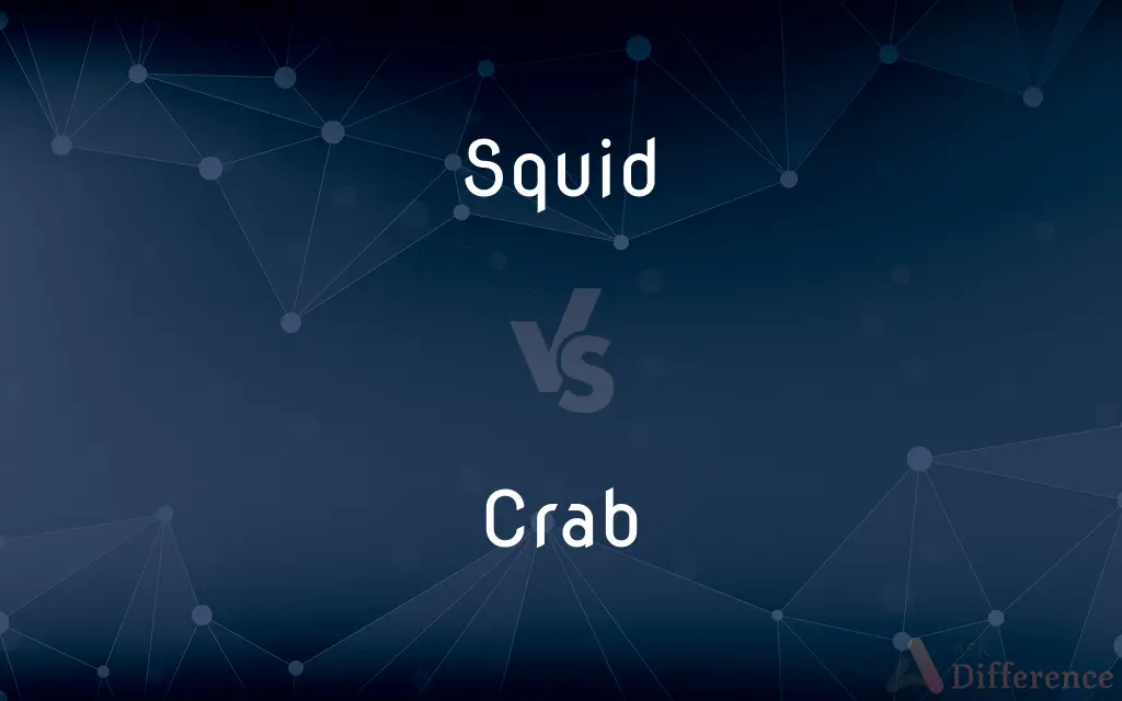 Squid vs. Crab — What's the Difference?