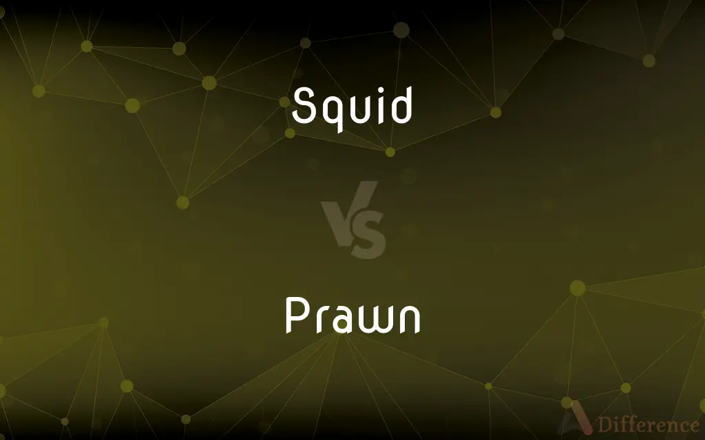 Squid vs. Prawn — What's the Difference?