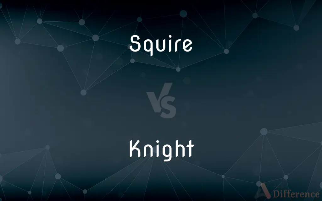 Squire vs. Knight — What's the Difference?