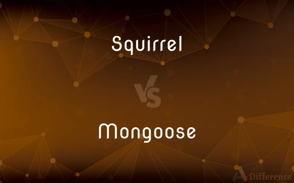 Squirrel vs. Mongoose — What's the Difference?