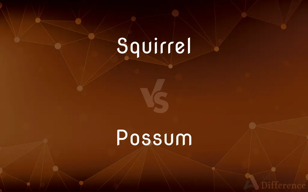 Squirrel vs. Possum