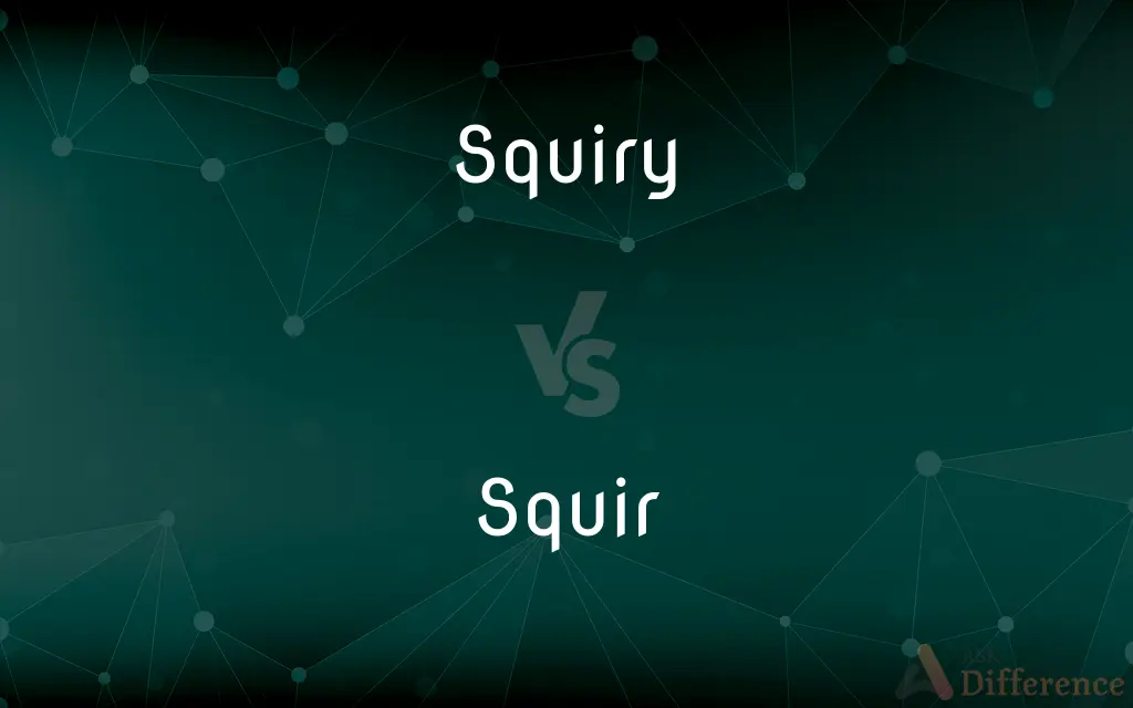 Squiry vs. Squir — What's the Difference?