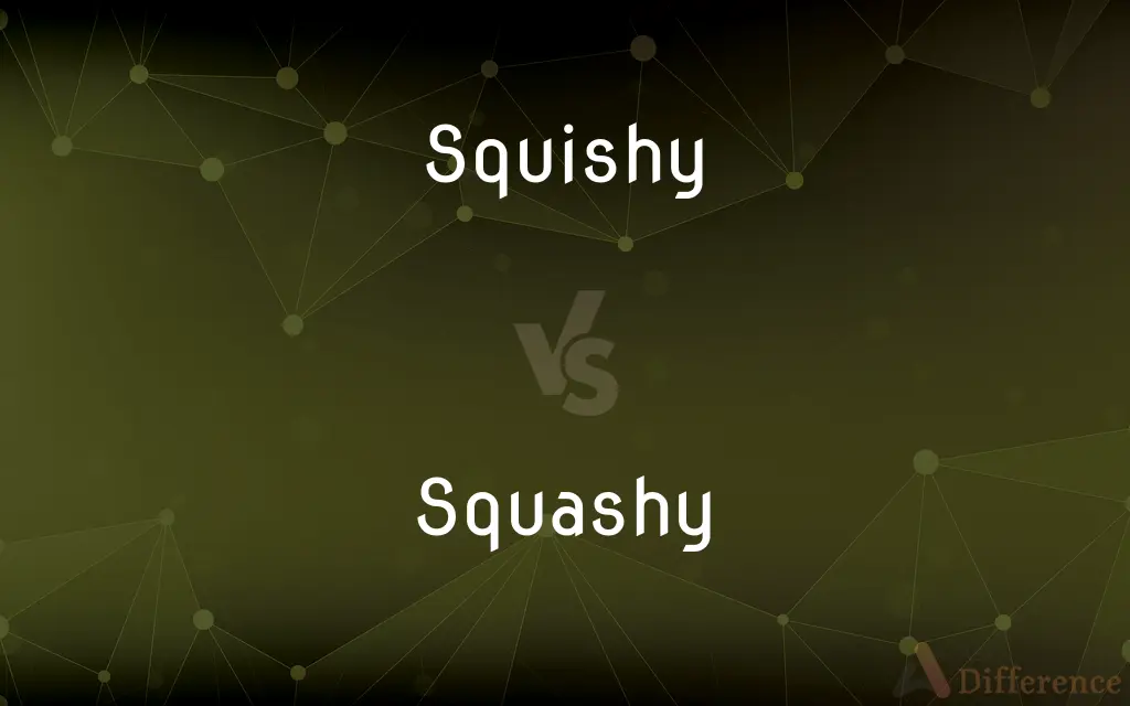 Squishy vs. Squashy — What's the Difference?