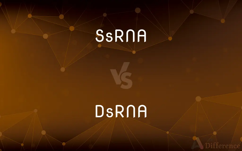 SsRNA vs. DsRNA — What's the Difference?