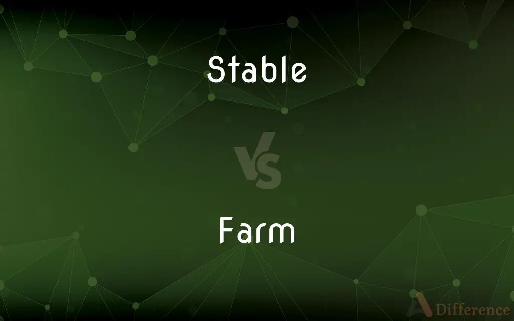 Stable vs. Farm — What's the Difference?