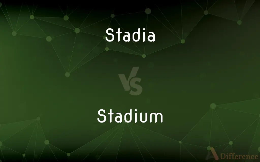 Stadia vs. Stadium — What's the Difference?