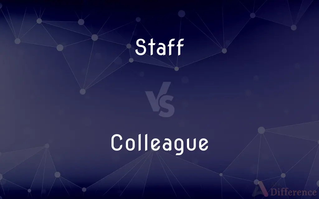Staff vs. Colleague — What's the Difference?