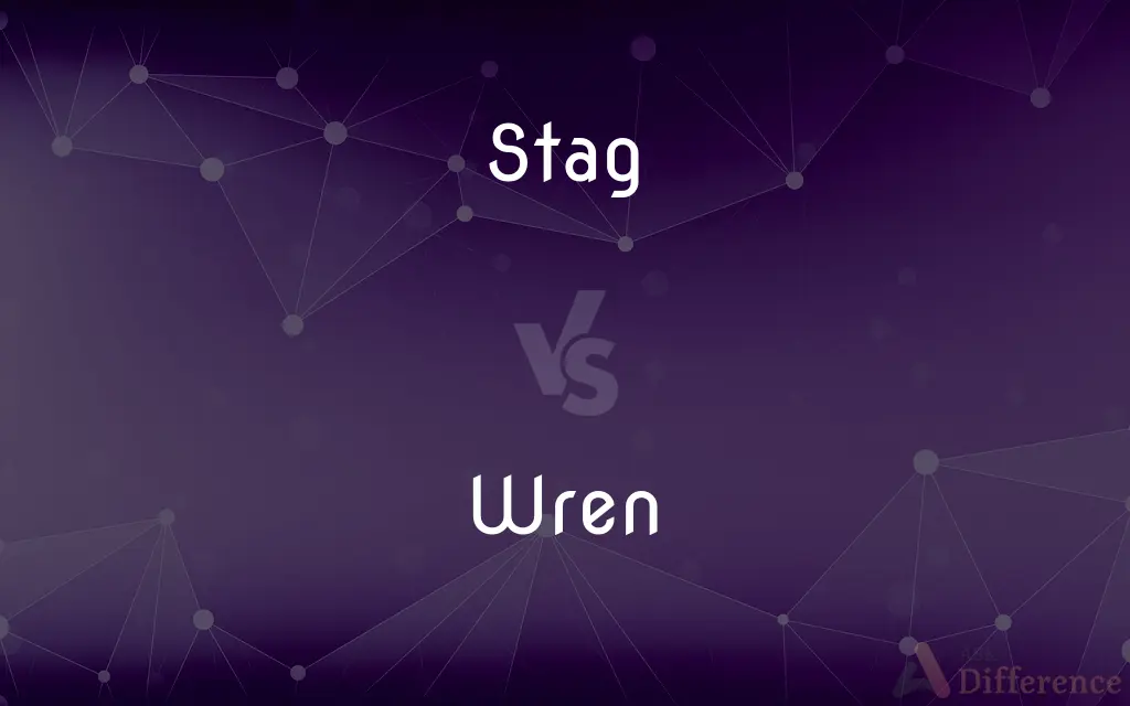 Stag vs. Wren — What's the Difference?