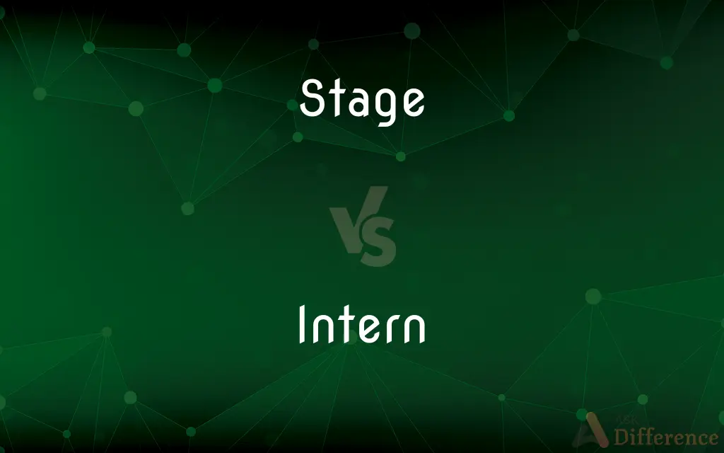 Stage vs. Intern — What's the Difference?