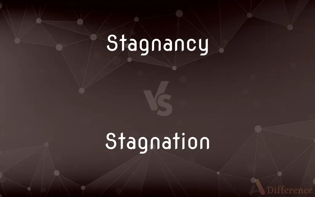 Stagnancy vs. Stagnation — What's the Difference?