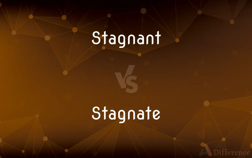 Stagnant vs. Stagnate — What's the Difference?