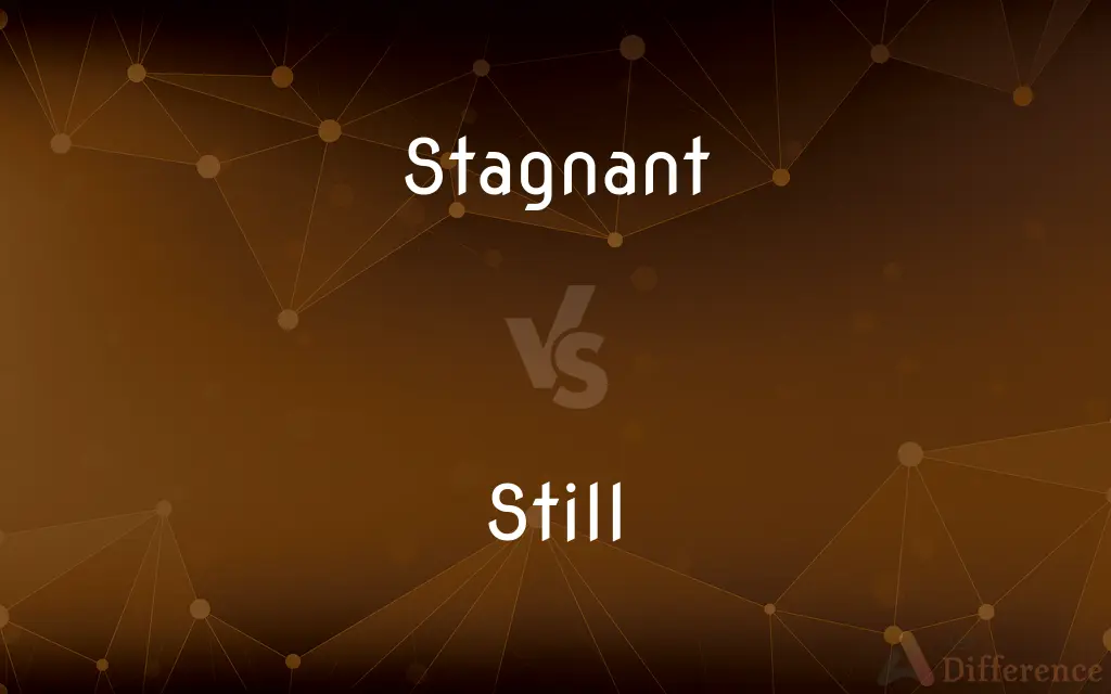 Stagnant vs. Still — What's the Difference?