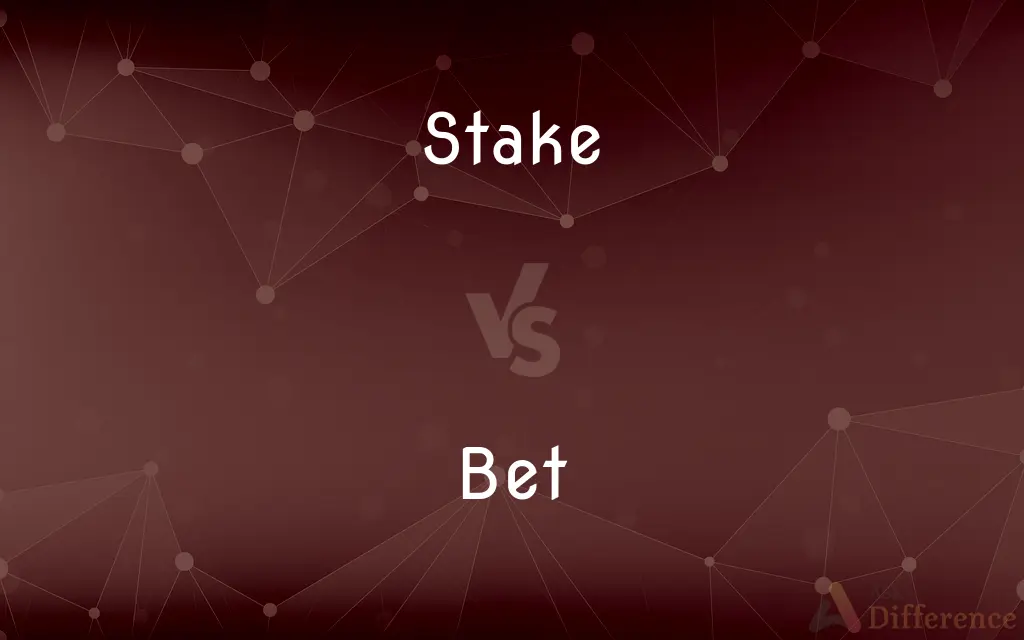 Stake vs. Bet — What's the Difference?