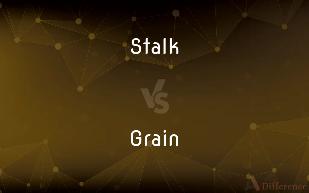 Stalk vs. Grain — What's the Difference?