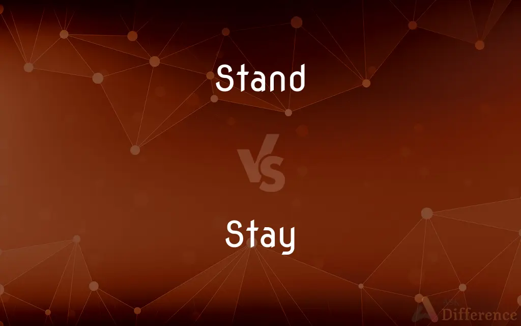 Stand vs. Stay — What's the Difference?
