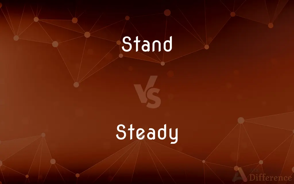 Stand vs. Steady — What's the Difference?
