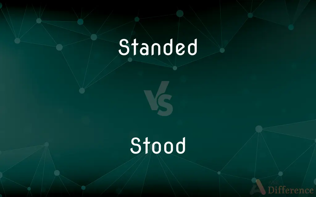 Standed vs. Stood — Which is Correct Spelling?