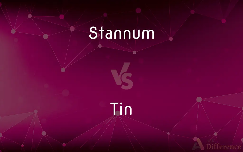 Stannum vs. Tin — What's the Difference?