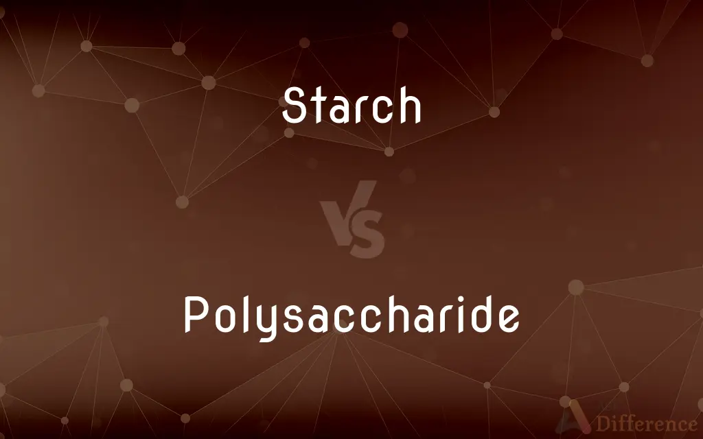 Starch vs. Polysaccharide — What's the Difference?