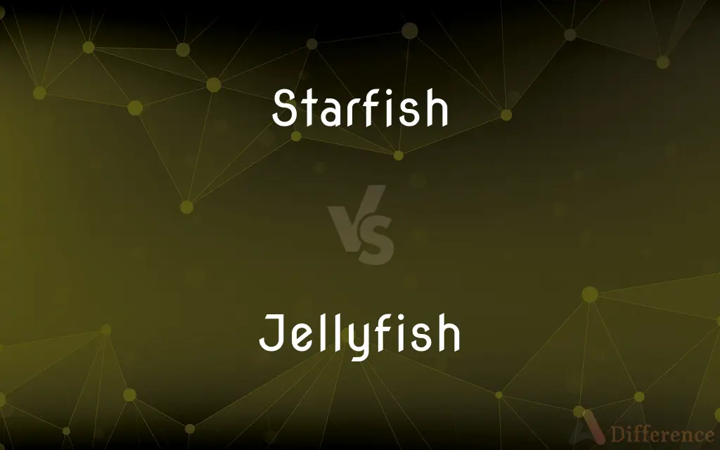 Starfish vs. Jellyfish — What's the Difference?