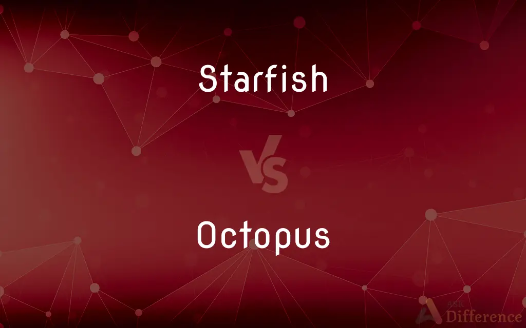 Starfish vs. Octopus — What's the Difference?
