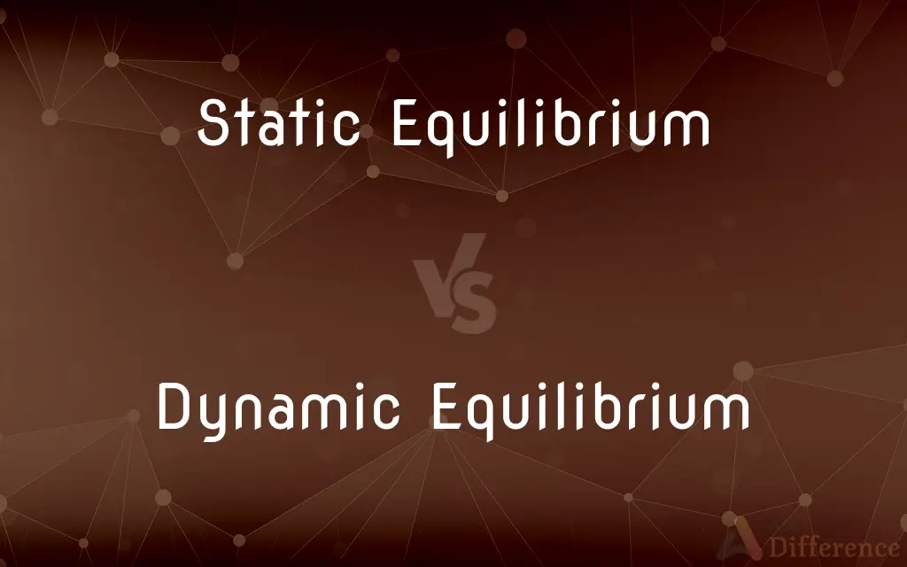 Static Equilibrium vs. Dynamic Equilibrium — What's the Difference?