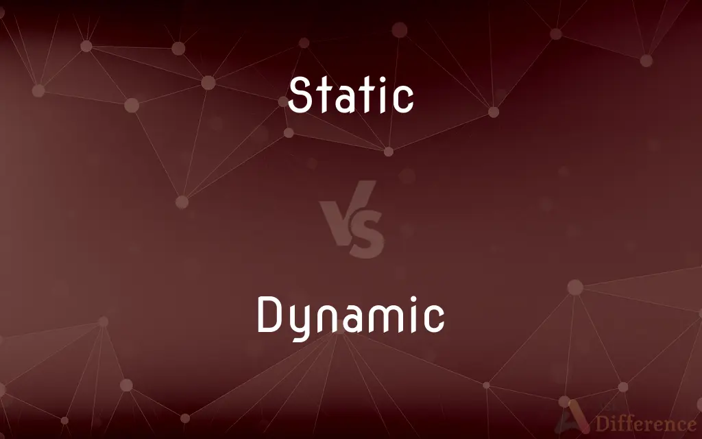 Static vs. Dynamic — What's the Difference?