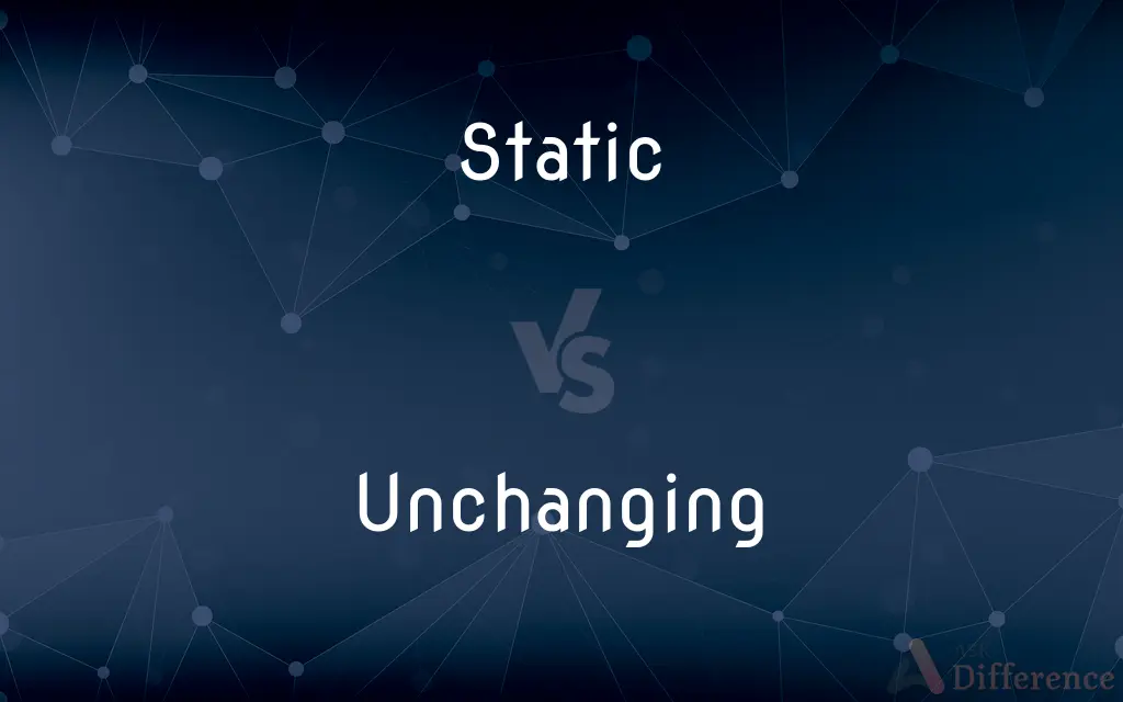 Static vs. Unchanging — What's the Difference?