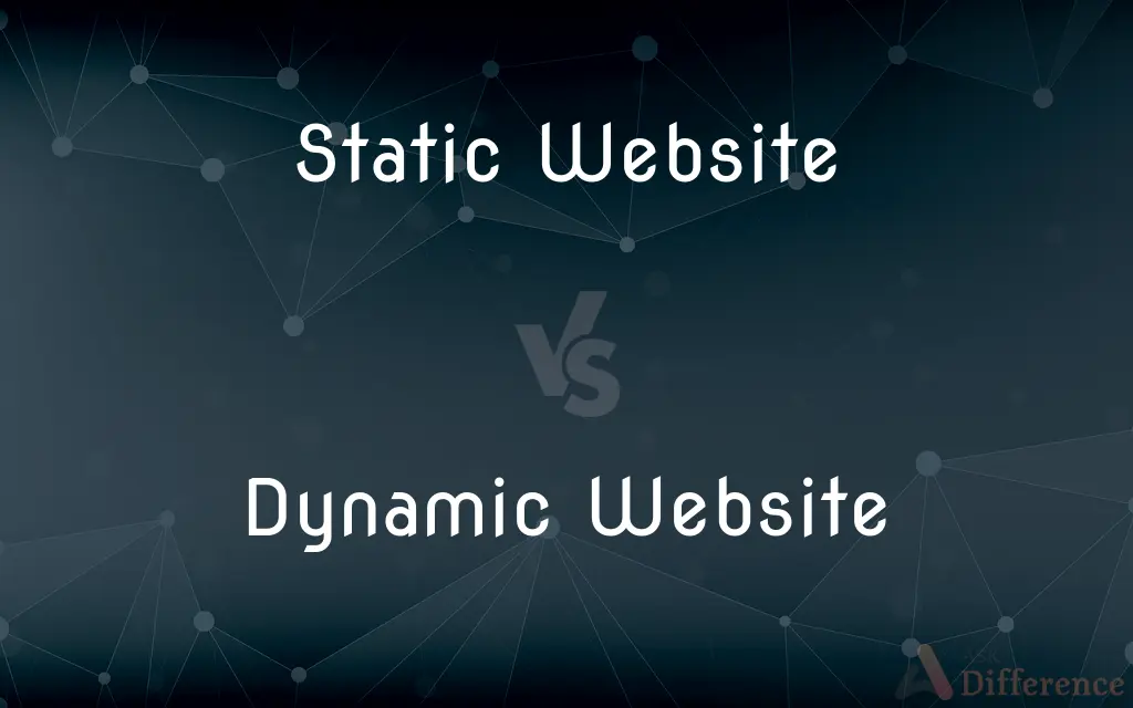 Static Website vs. Dynamic Website — What's the Difference?