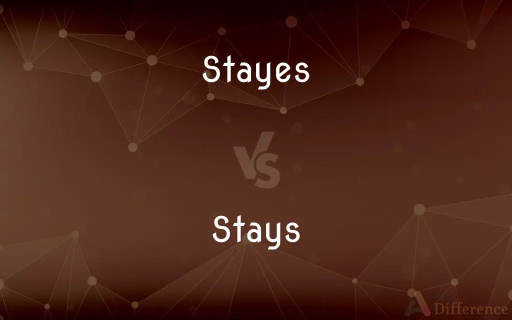 Stayes vs. Stays — Which is Correct Spelling?