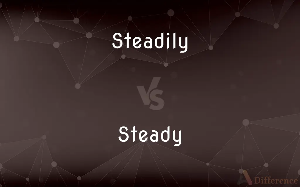 Steadily vs. Steady — What's the Difference?
