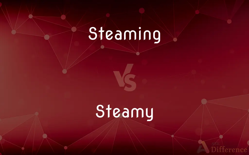 Steaming vs. Steamy — What's the Difference?
