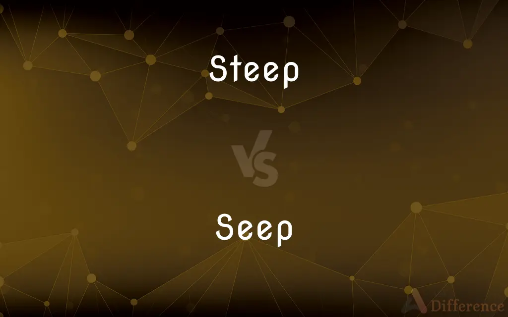 Steep vs. Seep — What's the Difference?