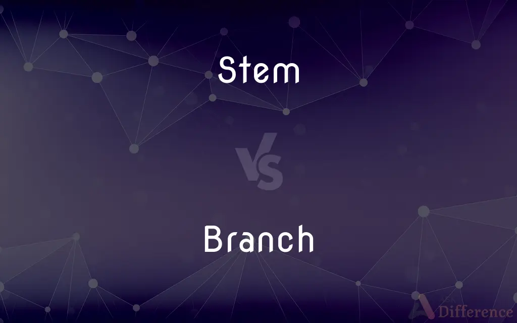 Stem vs. Branch — What's the Difference?