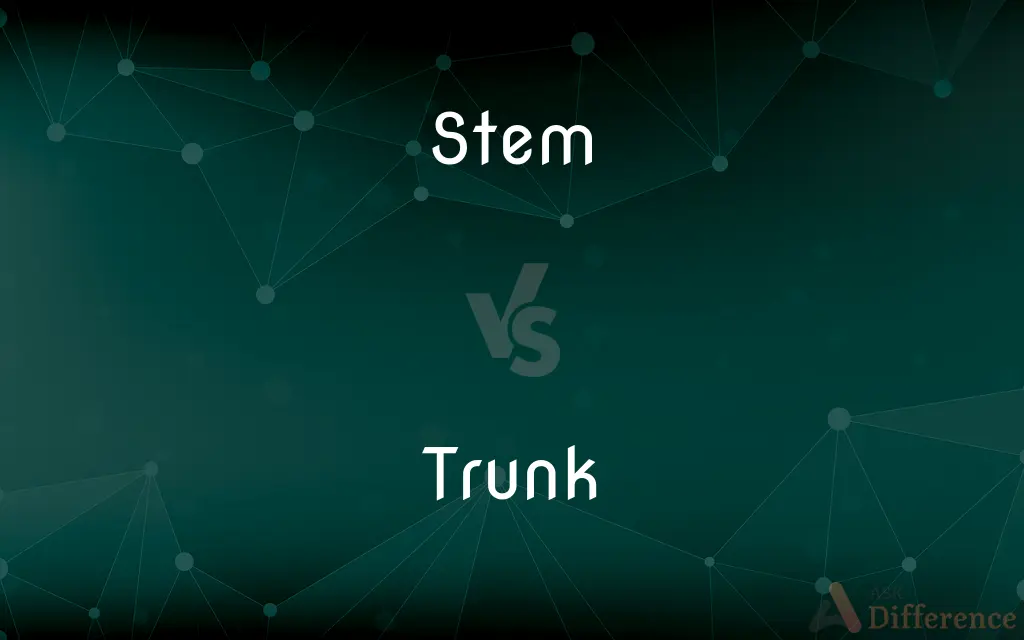 Stem vs. Trunk — What's the Difference?