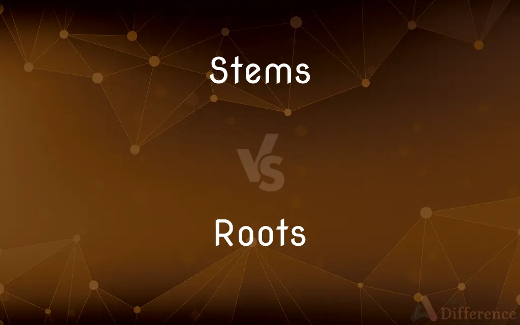 Stems vs. Roots — What's the Difference?