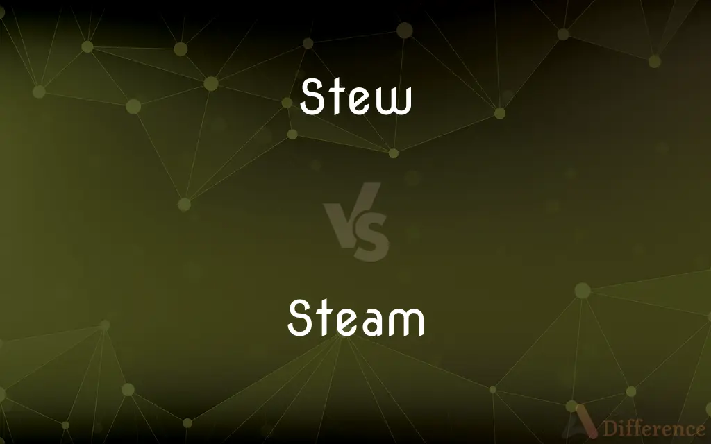 Stew vs. Steam — What's the Difference?