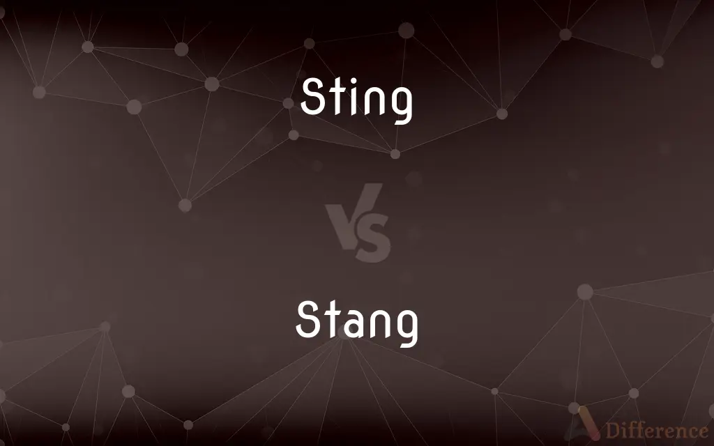 Sting vs. Stang — What's the Difference?